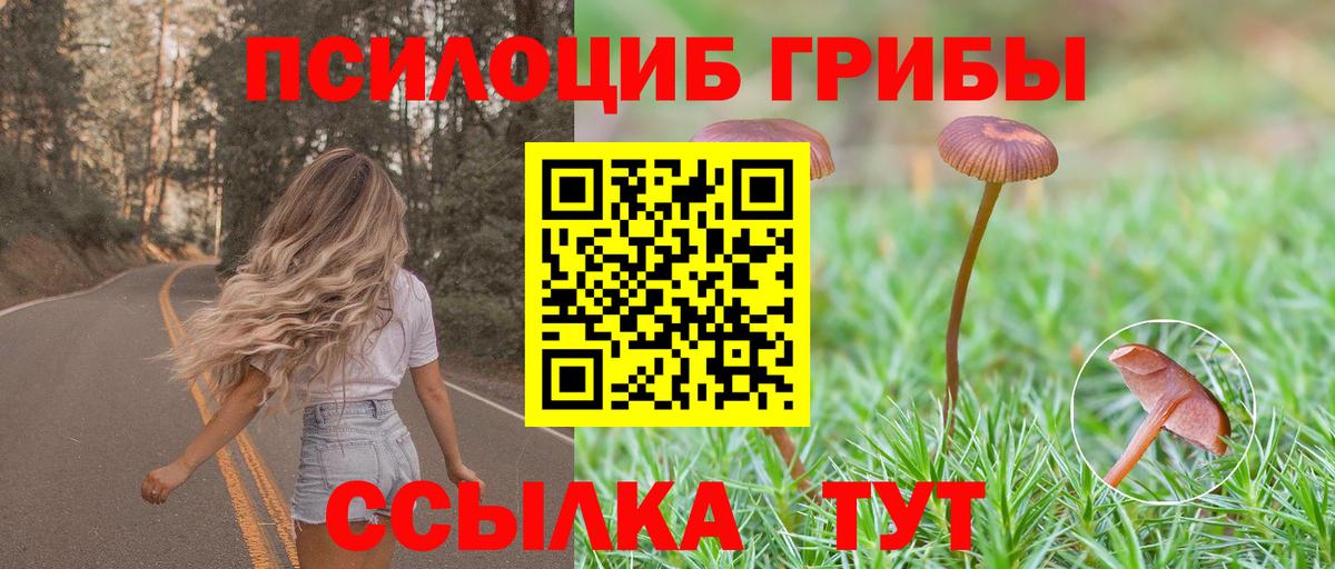 Псилоцибиновые грибы Psilocybe  Псилоцибиновые грибы мухоморы  Пыть-Ях  Вход с VPN 